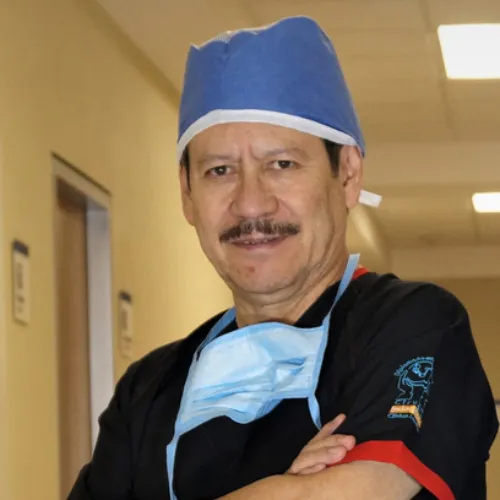 Jose Luis Limon Aguilar