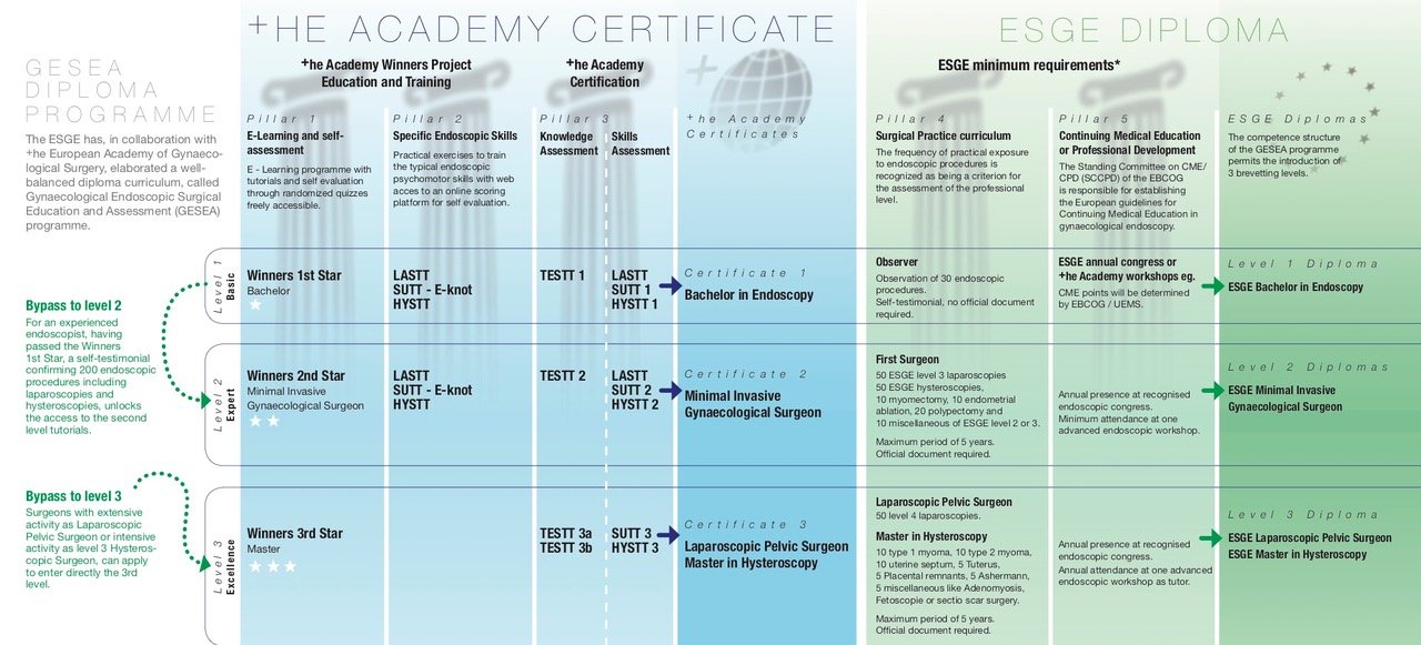 Wrist basecamp educational program  WebSurg, the online university of IRCAD